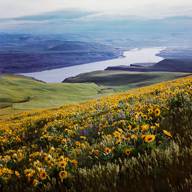 Columbia River Gorge