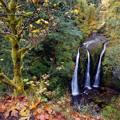 Columbia River Gorge