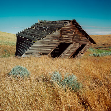 Homesteads
