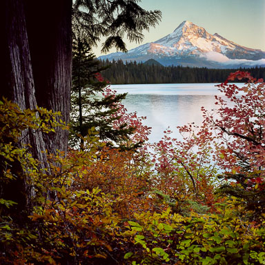 Mount Hood
