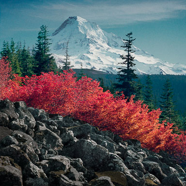 Mount Hood