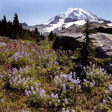 Washington State Cascade Range
